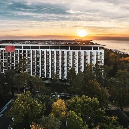 Premium Pinea * ポビエロボ